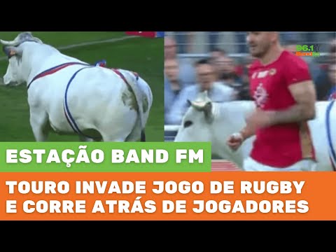 Touro invade jogo de Rugby e corre atrás de jogadores - Estação Band FM 