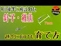 秋に生まれた針子・稚魚をどう育てていけばいいのか/越冬に向けて屋外飼育で大切なこと