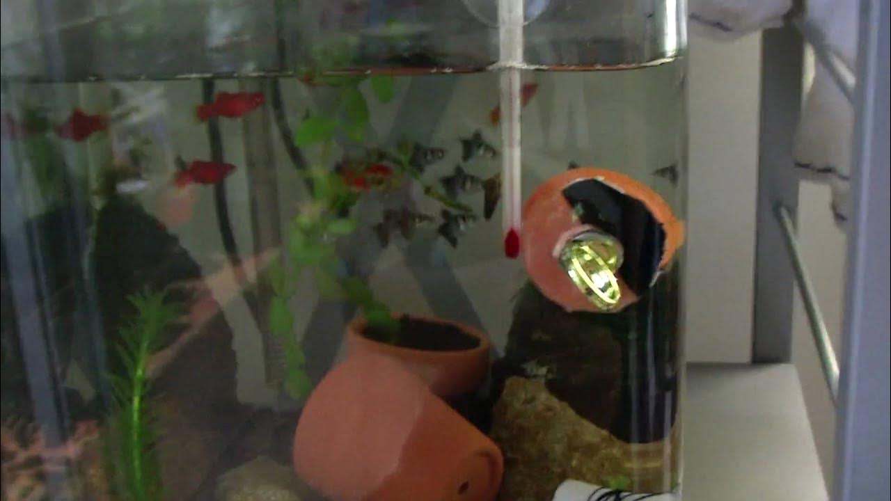 How to make a fish tank cleaner YouTube