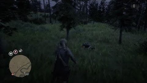 Old Lady Ambush - Red Dead Online Dynamic Event