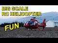 Big scale rc helicopter flight  800 size roban ec130  scale pilot