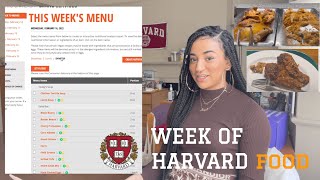 A WEEK OF HARVARD FOOD | maya lauren