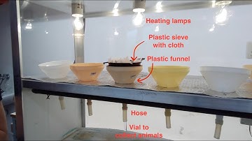 Enchytraeid extraction - Soil BON Foodweb protocol