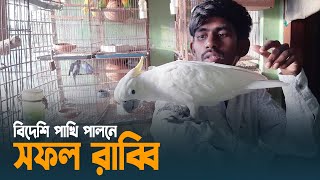 বিদেশি পাখি পালন করে সফল রাব্বি | Shariatpur | Bird Farm