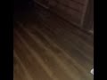 わらしちゃんたち