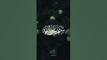 ﴿ إِنَّمَا الْمُؤْمِنُونَ إِخْوَةٌ ﴾ #القرآن_الكريم #سورة_الحجرات #ماهر_المعيقلي