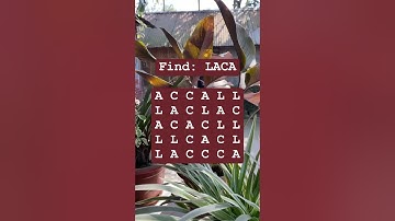 Observation Visual Test: 5 Seconds For You To Spot LACA. Try Your Skills!  #search #puzzle #shorts