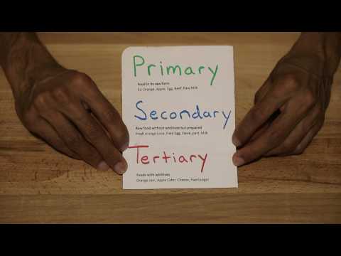 Food Review Food Category Explained Primary Secondary Tertiary