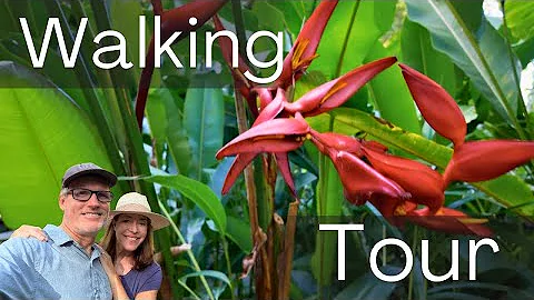 Hidden Gem in Hilo: Hawaii Tropical Botanical Garden! thumbnail