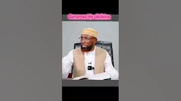 Shek Amin Ibro Ganama Rafin 