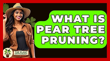 What Is Pear Tree Pruning? - The Plant Enthusiast