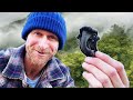 Black trumpet mushroom id  wild mussel forage  cook