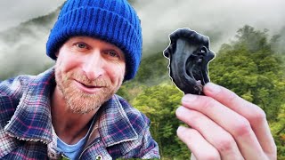 BLACK TRUMPET Mushroom ID + Wild Mussel Forage & Cook!