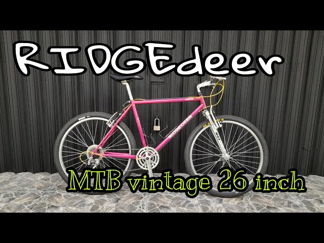 Cycle 自転車 super ridge runner $_57.JPG?set_id=880000500F