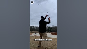 The weapon that preceded bows and arrows #knowledge #facts #usa #trendingshorts #explore