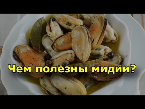 Видео: Есть ли в мидиях белок?