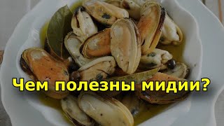 Чем полезны мидии? Полезные свойства мясо мидий