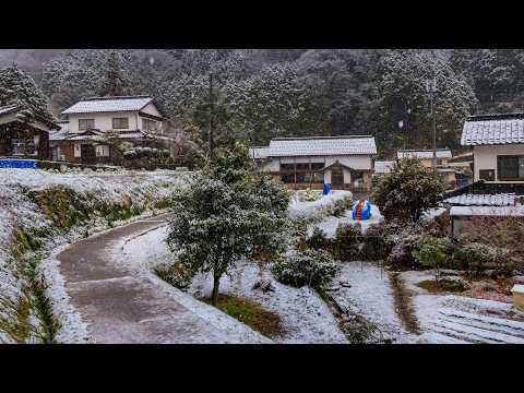 Wet Snow and Slush Walking Hillside Village | Asago, Japan 4K