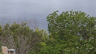 Breezy SSW To SW Winds, Mostly Cloudy Some Altocumulus 7:27pm April 25, 2024