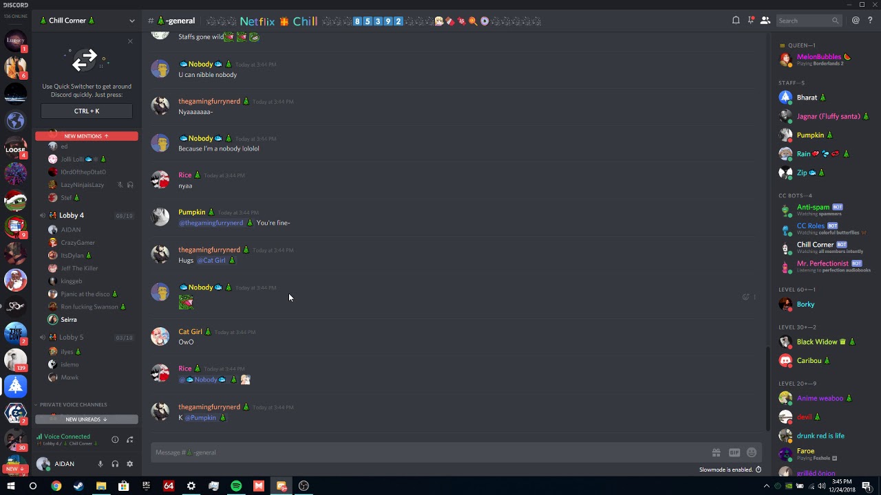 Random Discord Roast Guy YouTube