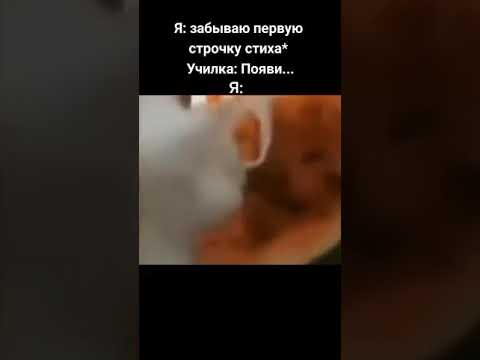 Жиза кстати #shorts - YouTube кстати