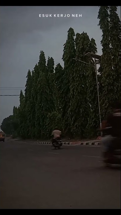 Quotes story 'muleh, adus, mangan turu,sesok kerjo maneh'