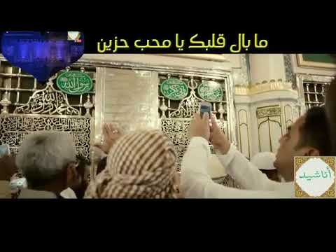 ما بال قلبك يا محب حزين Rabih Rachid