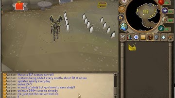 Wisdom-Ps || 317 Custom Server || 200+ Customs || online 24/7