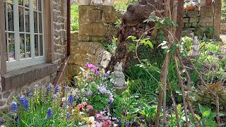 End of April tour of our English Cottage Garden