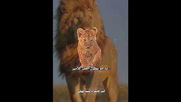 لما دعا أبي الاشبال السعودية اكسبلور العرب شعر العراق 