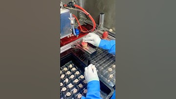 paint spraying workshop#machine #factoryworks #industrialmachine #amazing #workshop #shorts