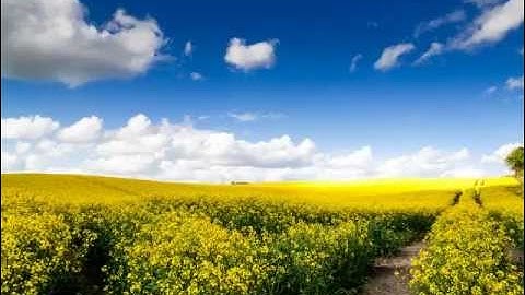 سورة النساء / للقارئ : محمود علي البنا - Quran (MP3) Surat An Nisa