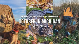 Sharptail, Ruffed Grouse and Wild Pheasants! October in Michigan 2022 Part 2