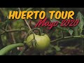 El Huerto en Mayo 2020 - Cómo Entutorar Tomateras Sin Cañas y Como Podarlos - Huerto Tour