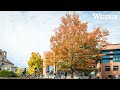 Tour the university of washington foster school of business