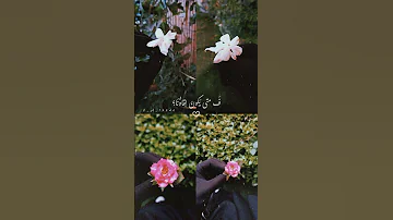 لا تجزعي مهما جرى 