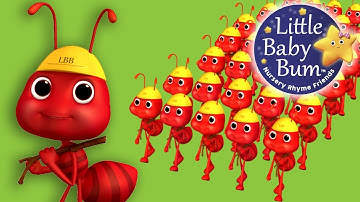 Ants Go Marching | LittleBabyBum - Nursery Rhymes! ABCs and 123s | LBB