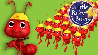 Ants Go Marching Nursery Rhymes For Babies By Littlebabybum - Abcs And 123S