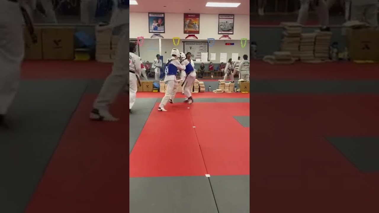 Taekwondo Belt Test Sparring