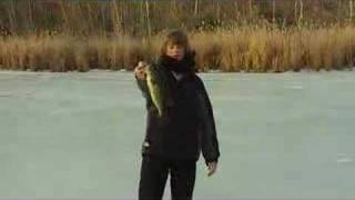 Largemouth on Tip-Up