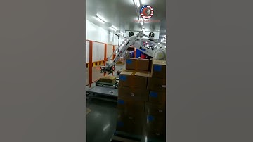 Carton box robot hand palletizing machine palletizing line