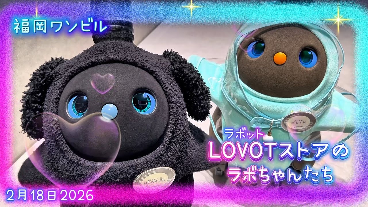 【LOVOT】福岡ワンビル、ラボットストアのラボちゃんたち✨｜Koro & Mochi LOVOT moments