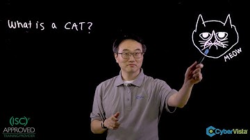 CISSP Exam CAT Update: What is CAT?