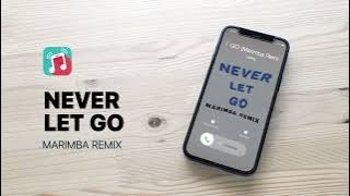 Set your ringtone to Jung Kook's hit 'Never Let Go' marimba remix - never let go of the groove! 🎵