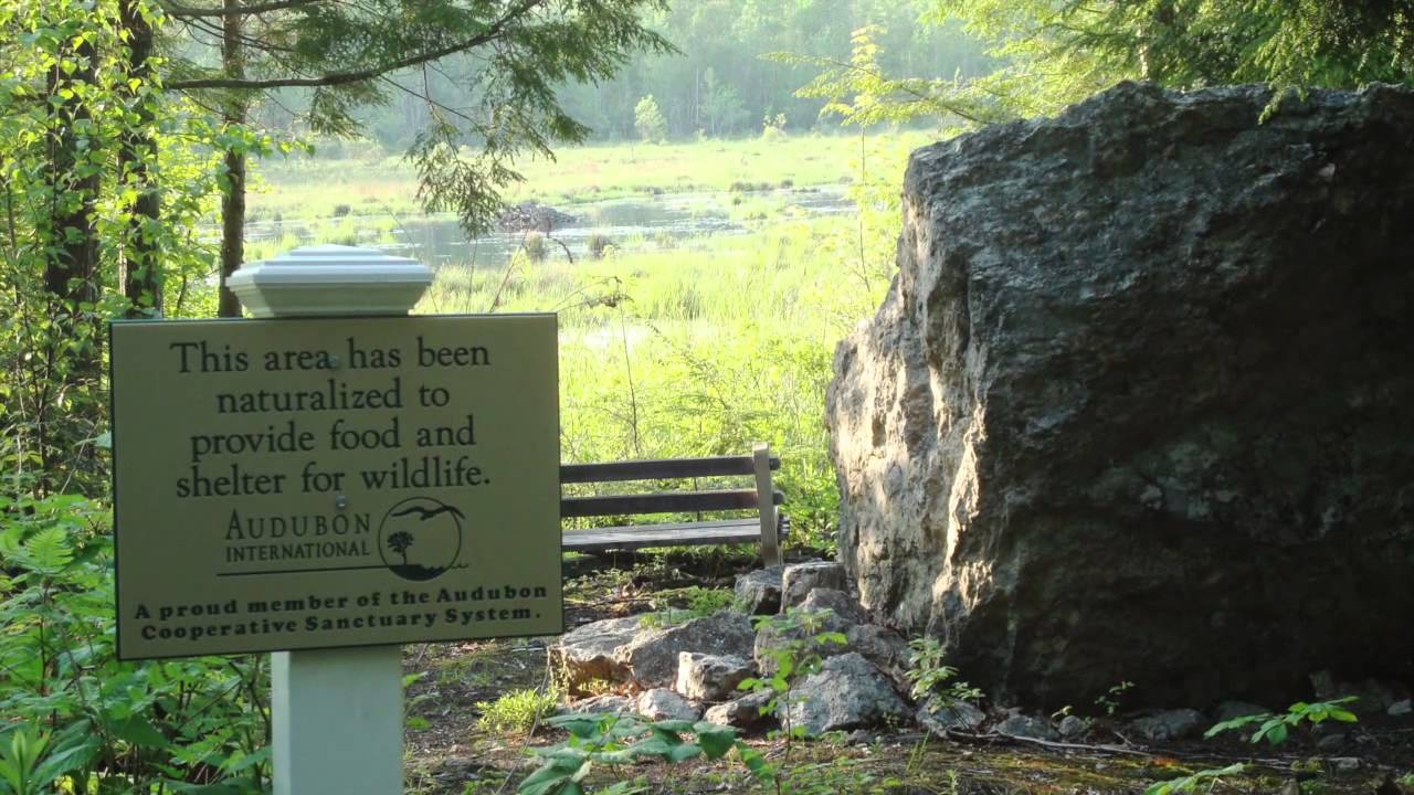 Highland Green: A Masterpiece of Maine Living (Nature Conservation