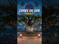 Corée du Sud - JOUR 5 #voyage #coree #coréedusud #straykids #bts #southkorea