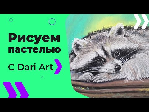 Как нарисовать енота карандашом поэтапно