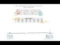 Box Plot Scale Selection