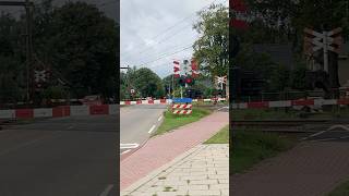 DDZ komt over overweg! Wierden