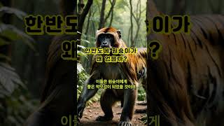 한반도에 원숭이가 왜 없을까? #국립생물자원관 #자연과학 #원숭이 서식지